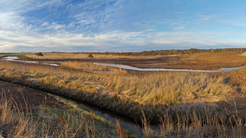 Wolla Bank Pit Nature Reserve